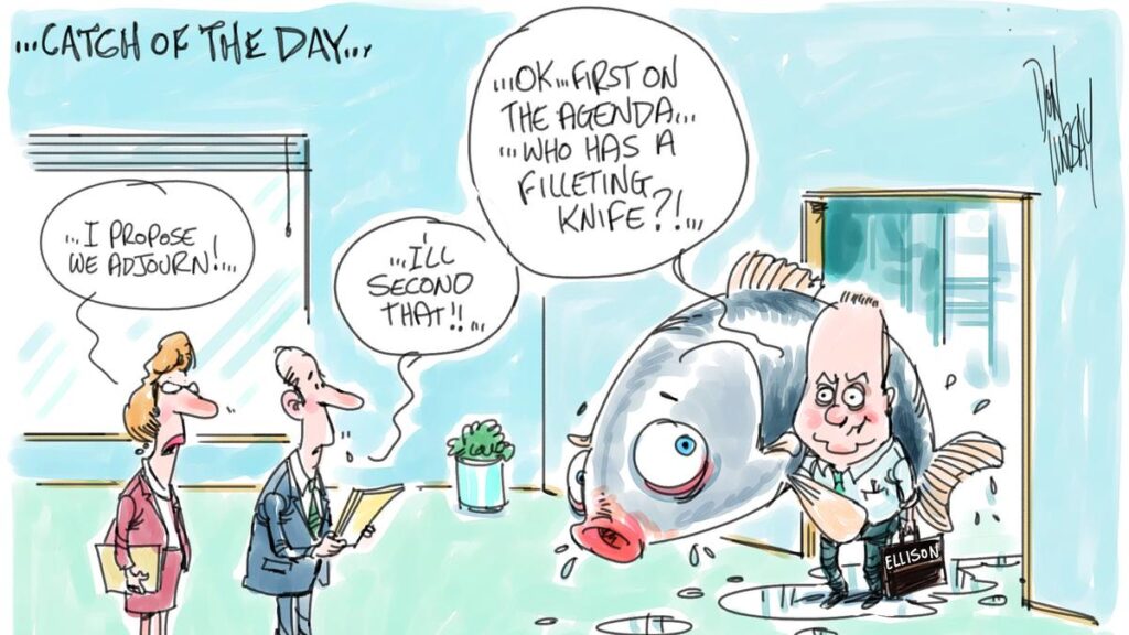 Herd on the Terrace: MinRes board meeting almost weekly and Team Fini hopes for a DAP 180